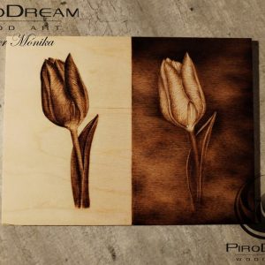 Pirográfia Jin-Jang, tűzgrafika, faégetés