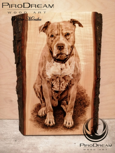 Kutya portré pirográfia tűzgrafika