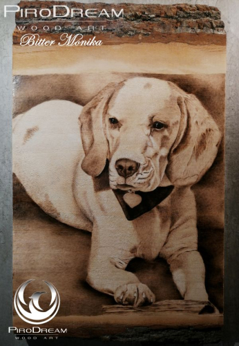 Pirográfia kutya portré pirográf kép